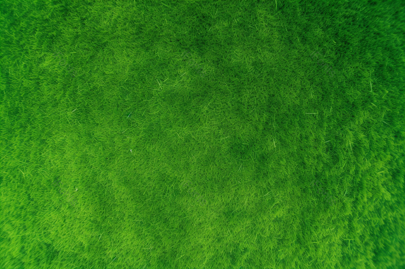 素材元素绿草地背景清新小草,高清,摄影图,摄影图片,图片大全,摄影图免费下载